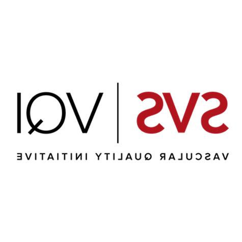 SVS VQI Logo